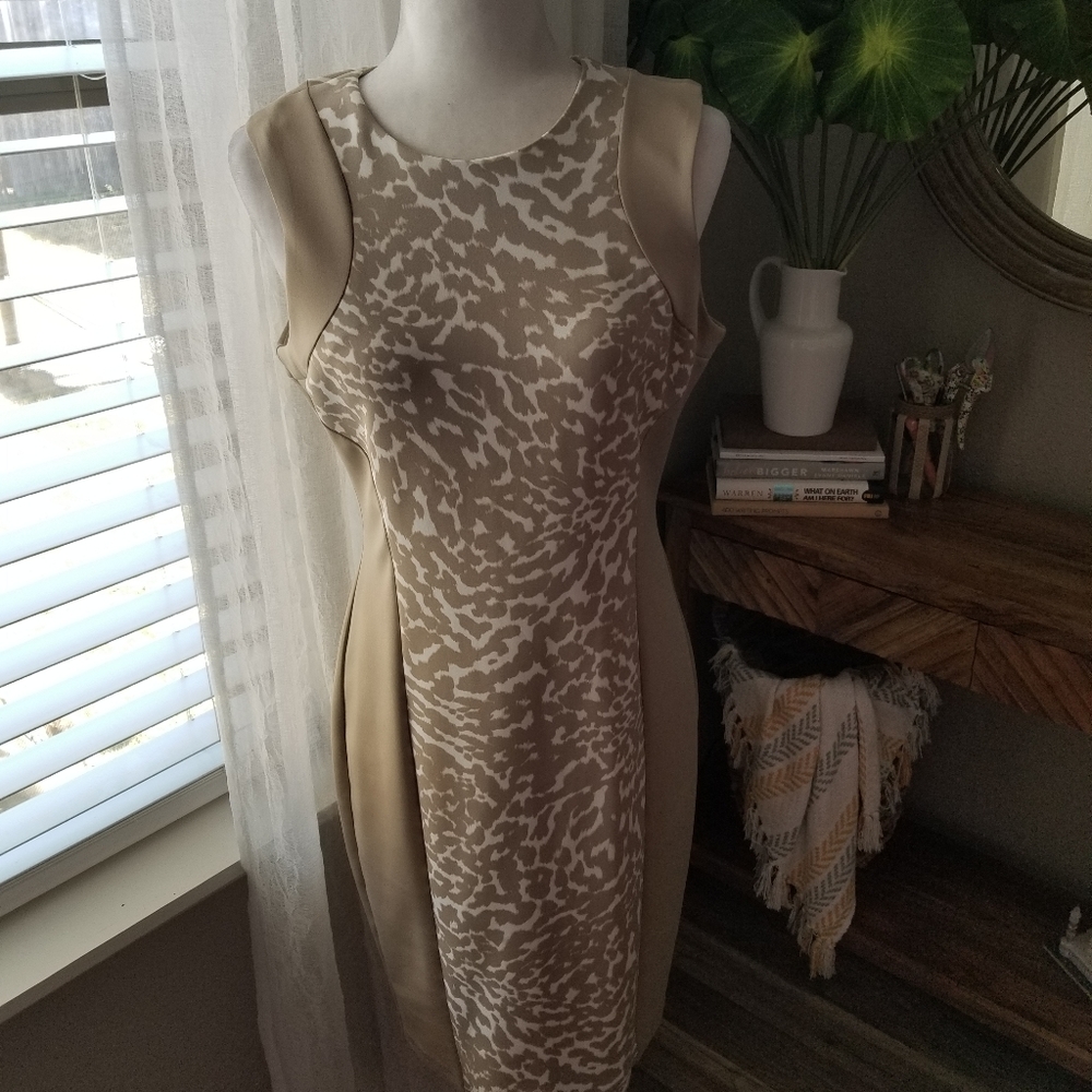 Calvin Klein Dress